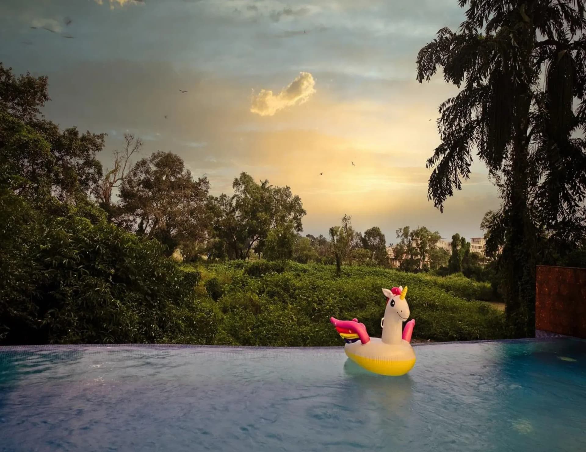 Spacious Goa Apartment with Infinity Pool & Nature Views in Candolim — photo 1