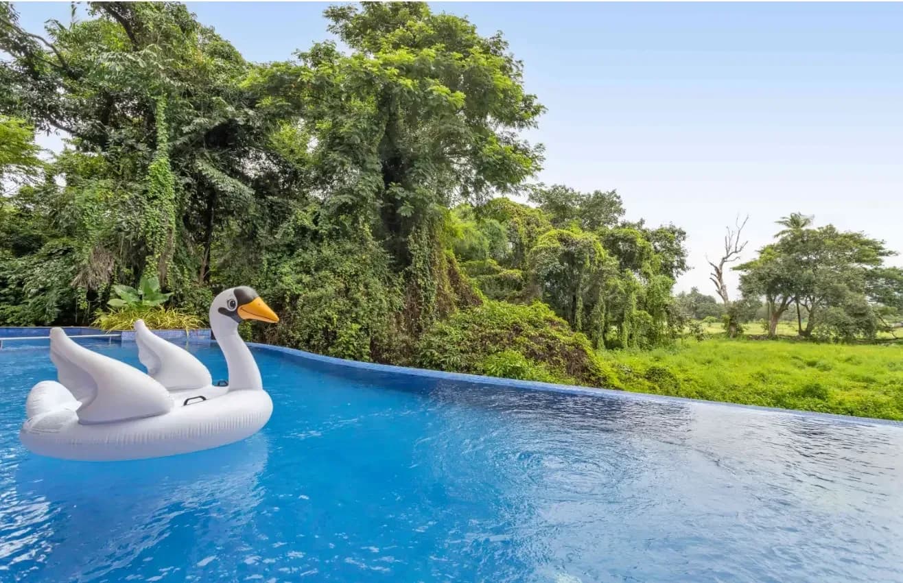 1BHK Shared Pool Apartment for up to 3 Guests in Candolim, Goa - Candolim, Goa
