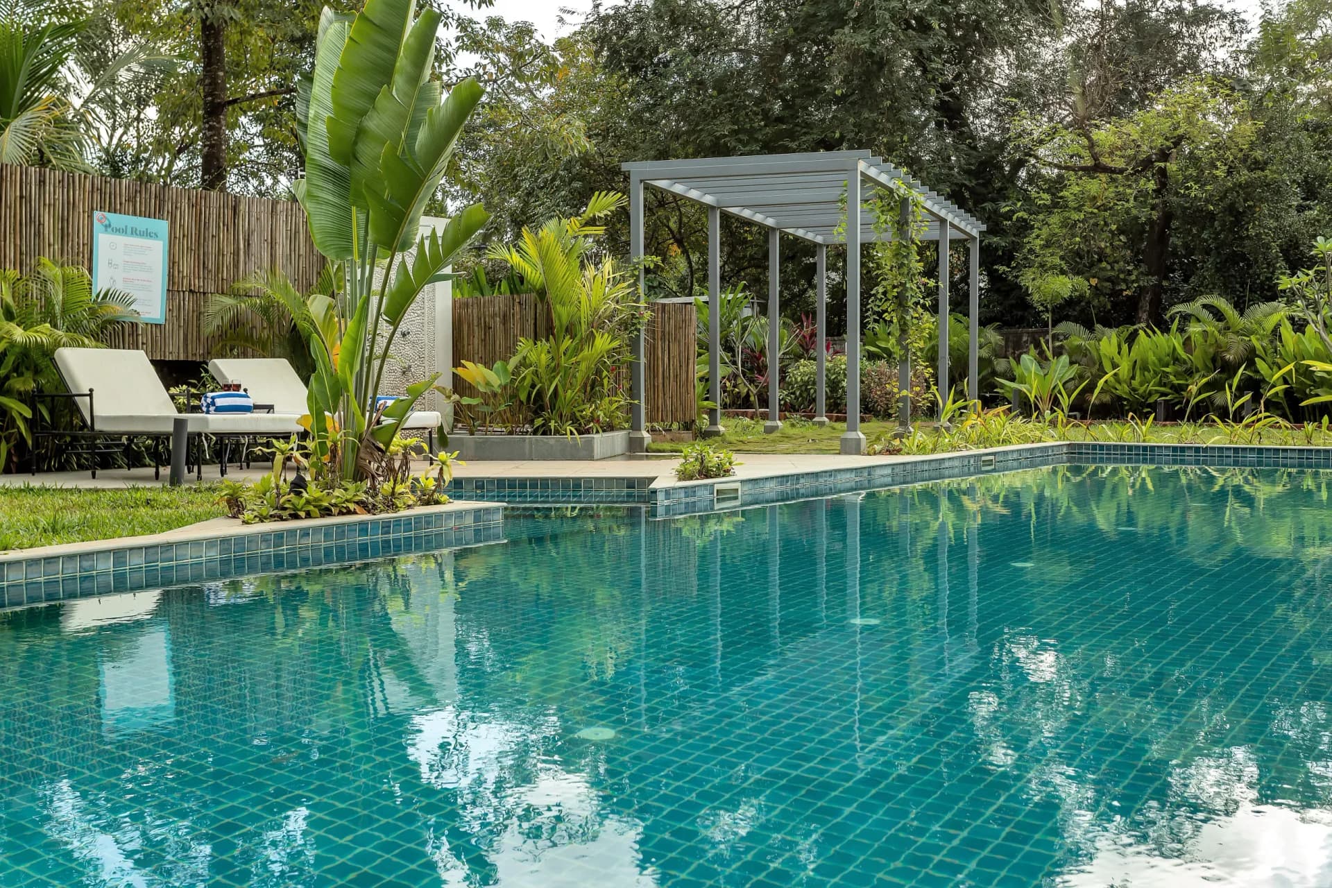 2BHK Shared Pool Apartment for up to 5 Guests in Assagao, Goa - Assagao, Goa